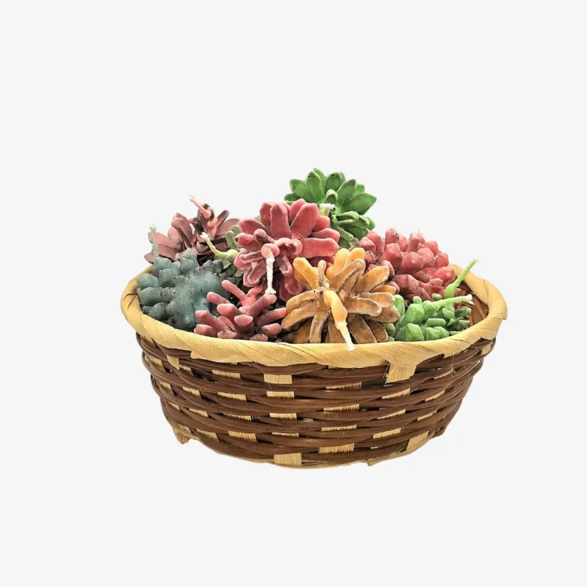 süütekäbide kinkekorv süütekäbid kinkekorvis. 20 käbi